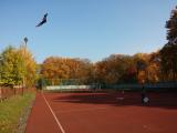 2015-10-25_22.54.24.jpg